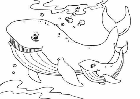 Duas Baleias para colorir