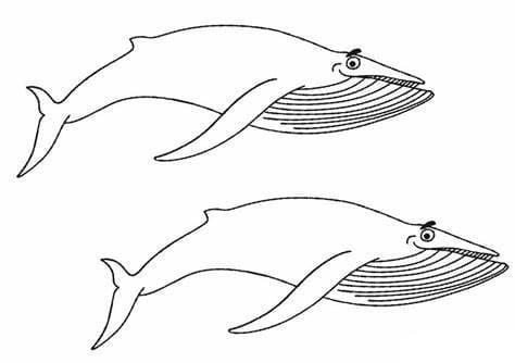 Imagem de baleias imprimível para colorir