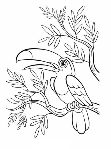 Imagem de pássaros para colorir