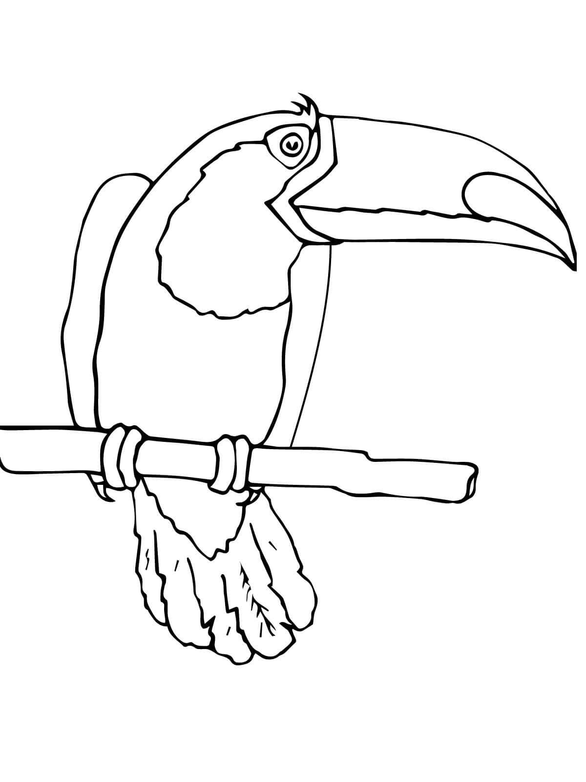 Desenhos de Imagem de pássaros tucanos para colorir