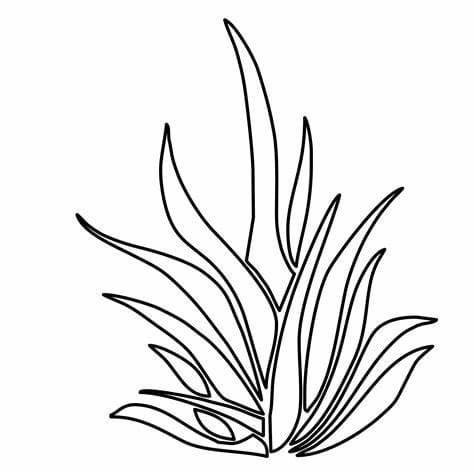 Desenhos de Impressão grátis Contorno de grama para colorir