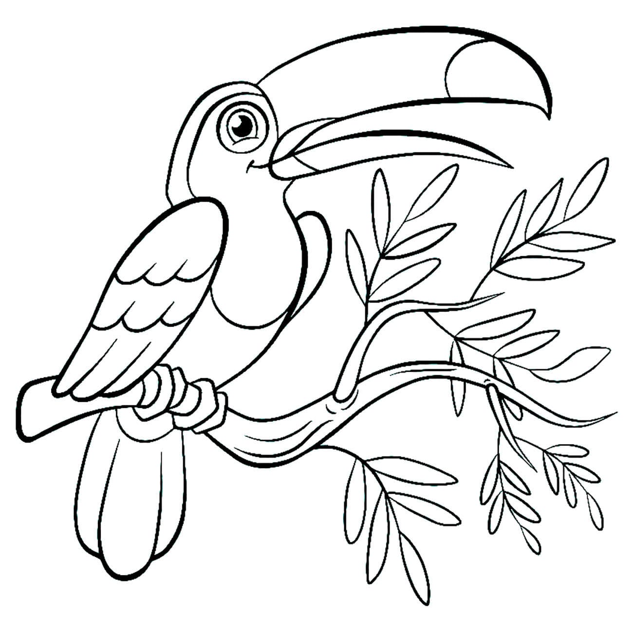Desenhos de Imprimir contorno de imagem de tucano para colorir
