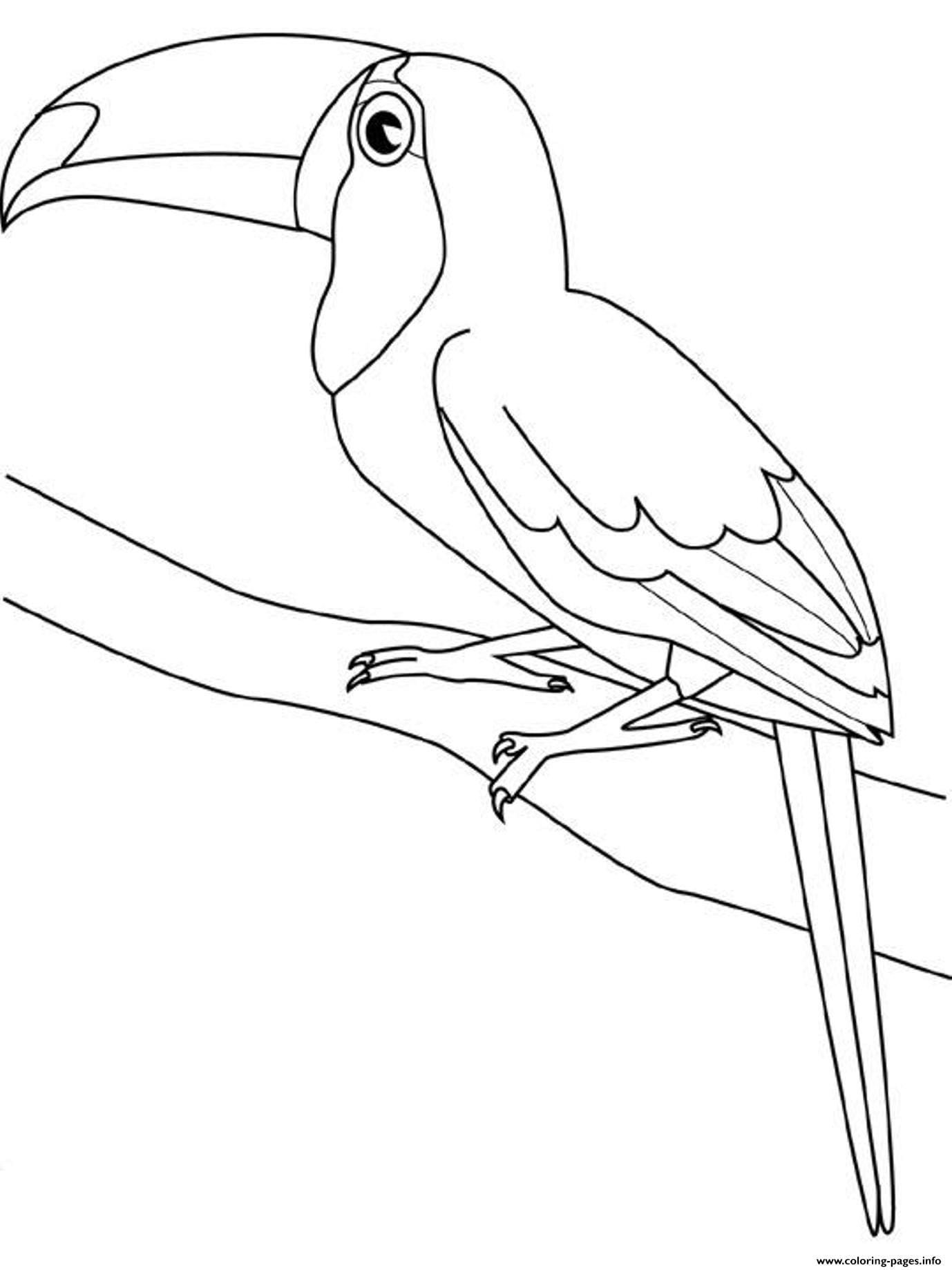 Desenhos de Imprimir imagem de tucano para colorir