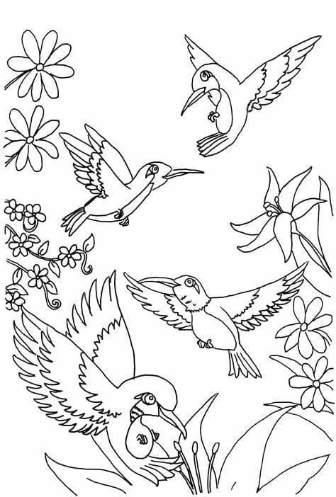 Desenhos de Muitos pássaros para colorir