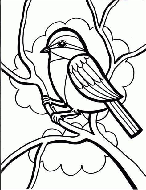 Desenhos de Pássaros grátis para colorir