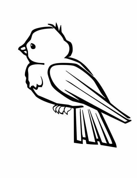 Desenhos de Pássaros grátis para crianças para colorir