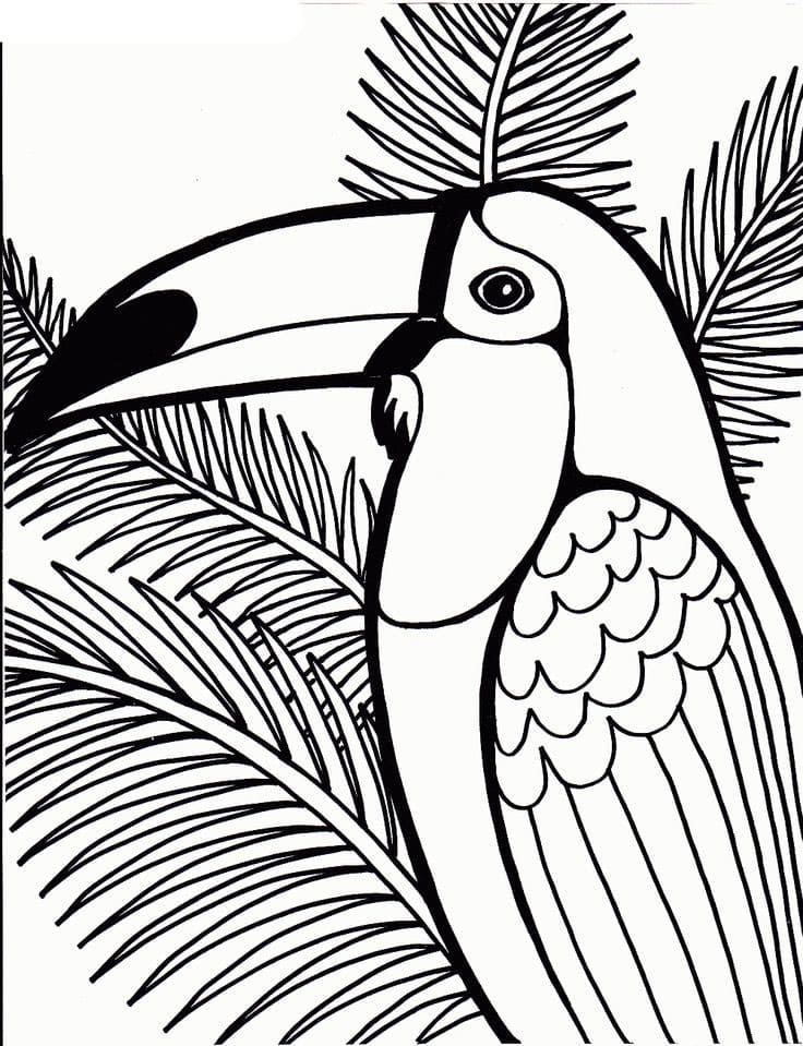 Desenhos de Pássaros tucanos para colorir