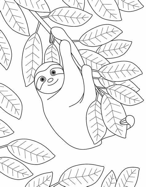 Desenhos de Preguiça grátis para colorir