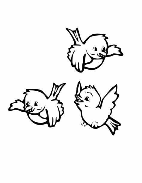 Desenhos de Três pássaros para colorir