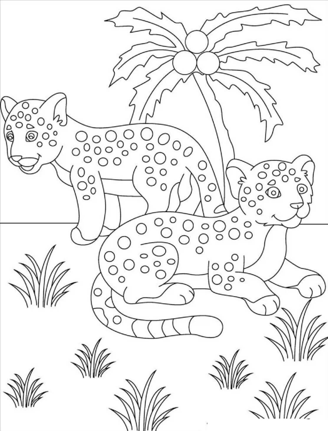 Desenhos de Duas Jaguars Com Coqueiro para colorir