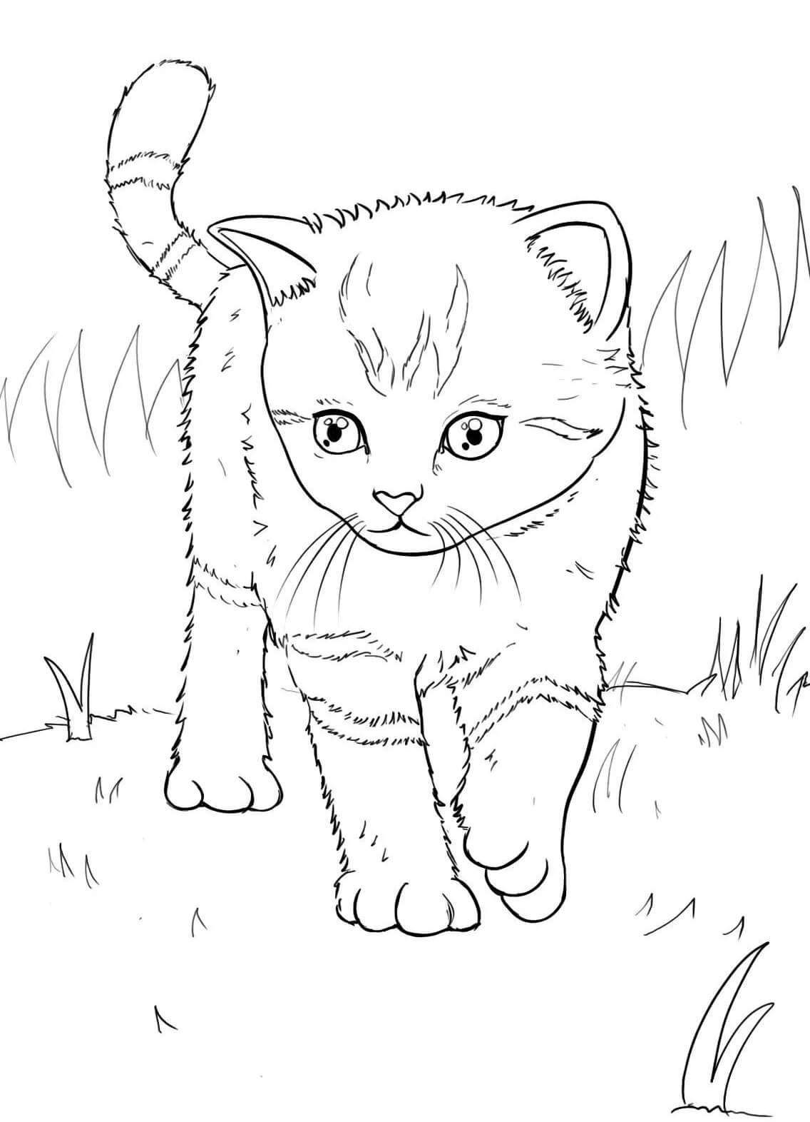 Desenhos de Gatinho Andando para colorir