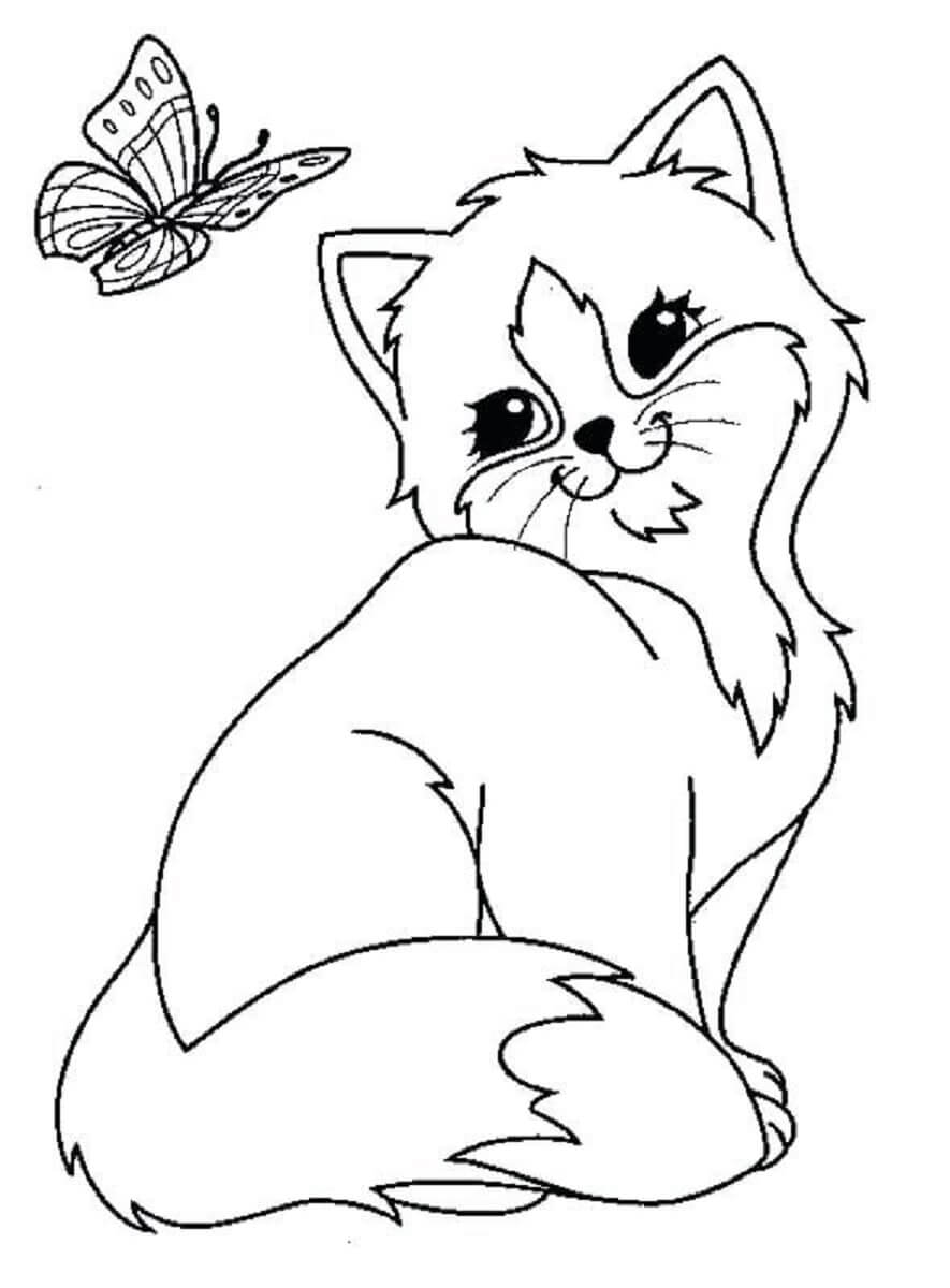 Desenhos de Gatinho com Borboleta para colorir