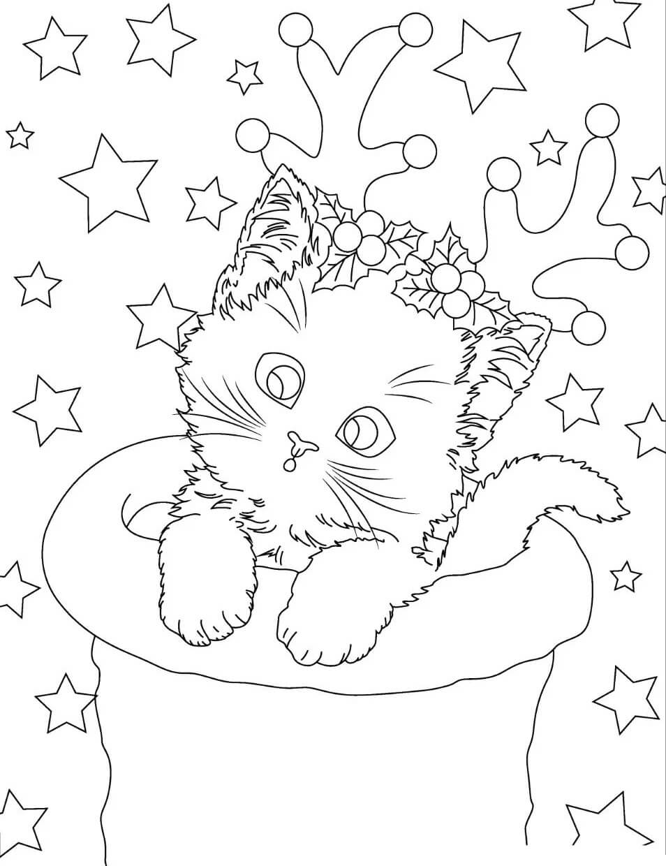 Desenhos de Gatinho com Estrelas para colorir