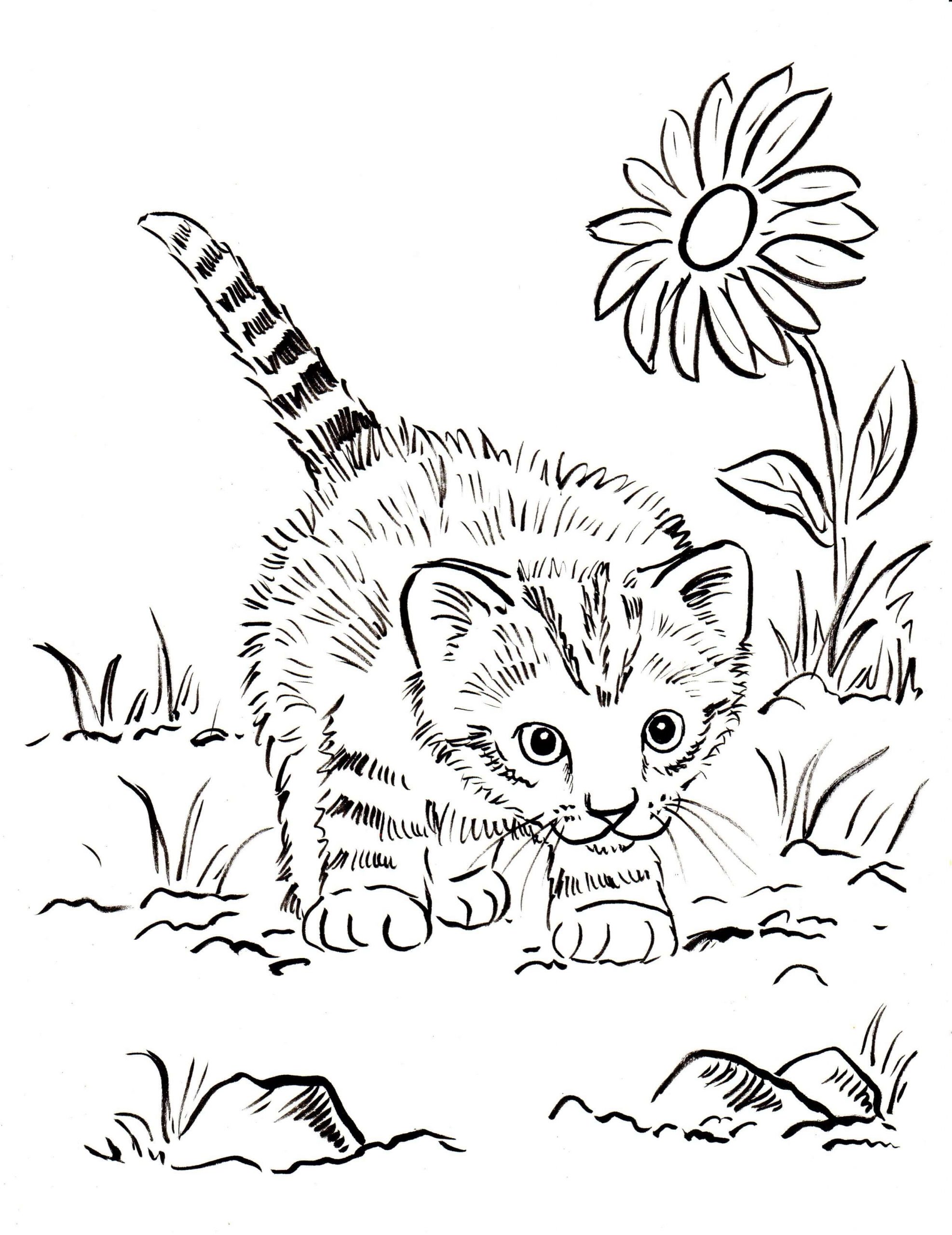 Desenhos de Gatinho com Flor para colorir