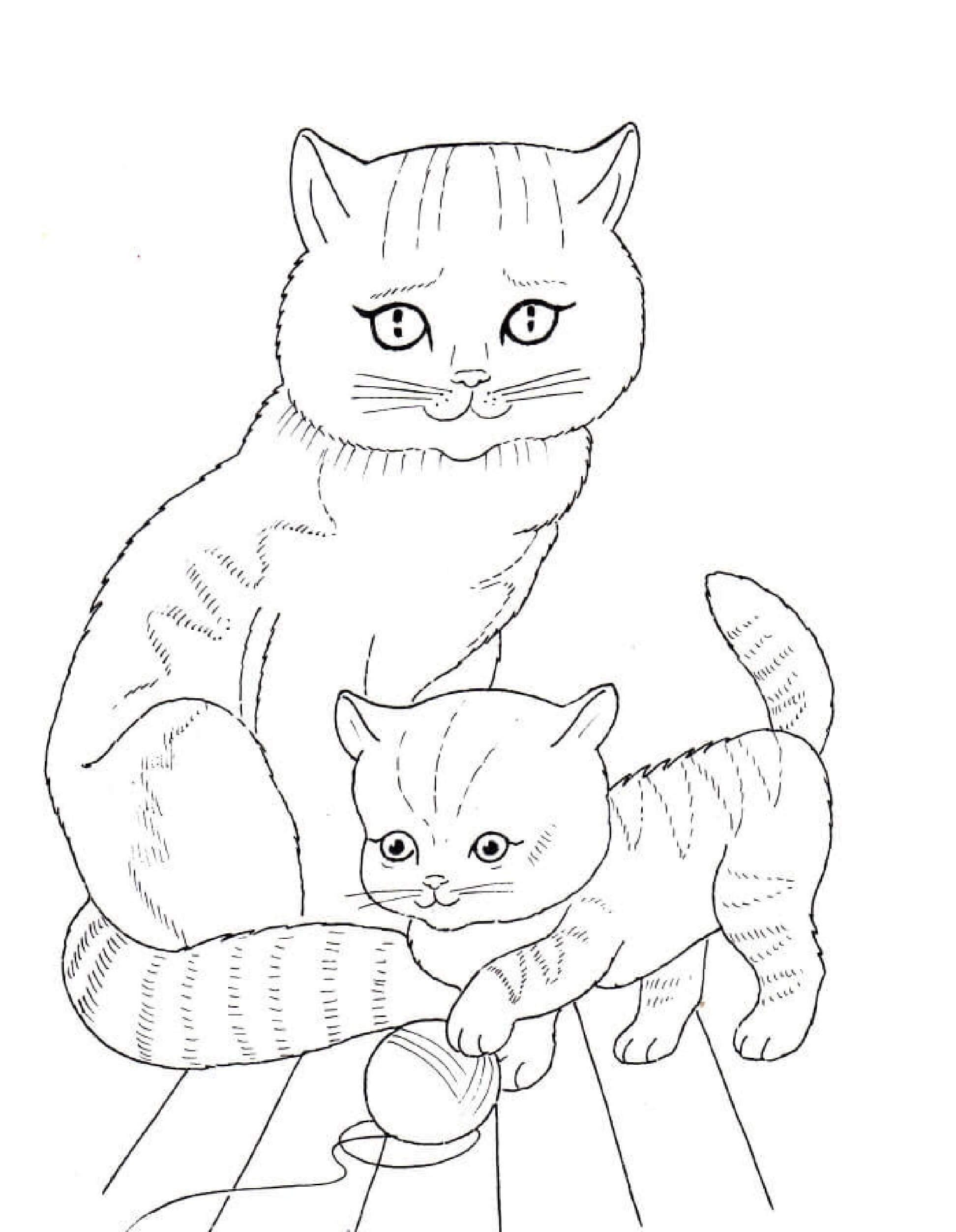 Desenhos de Gato e Gatinho para colorir