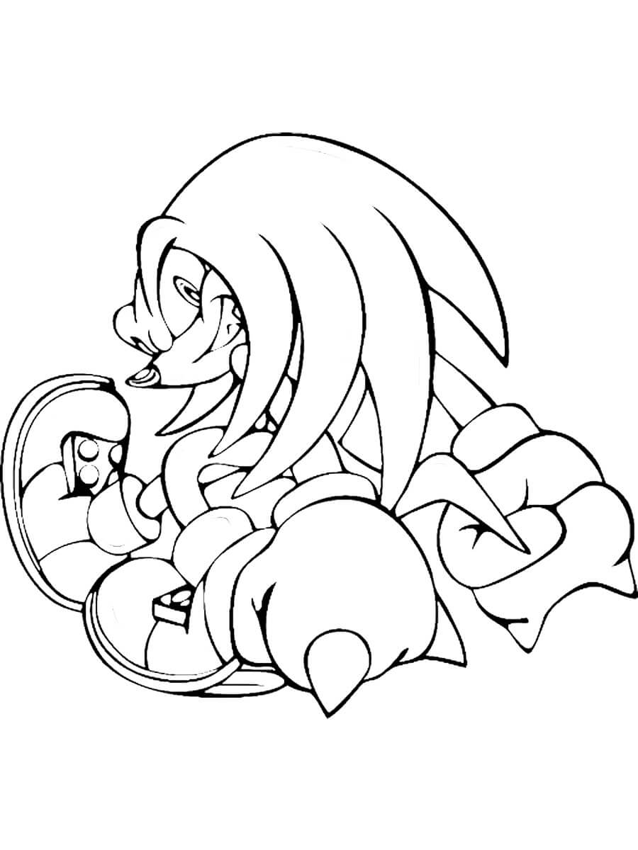 Desenhos de Knuckles Felizes para colorir