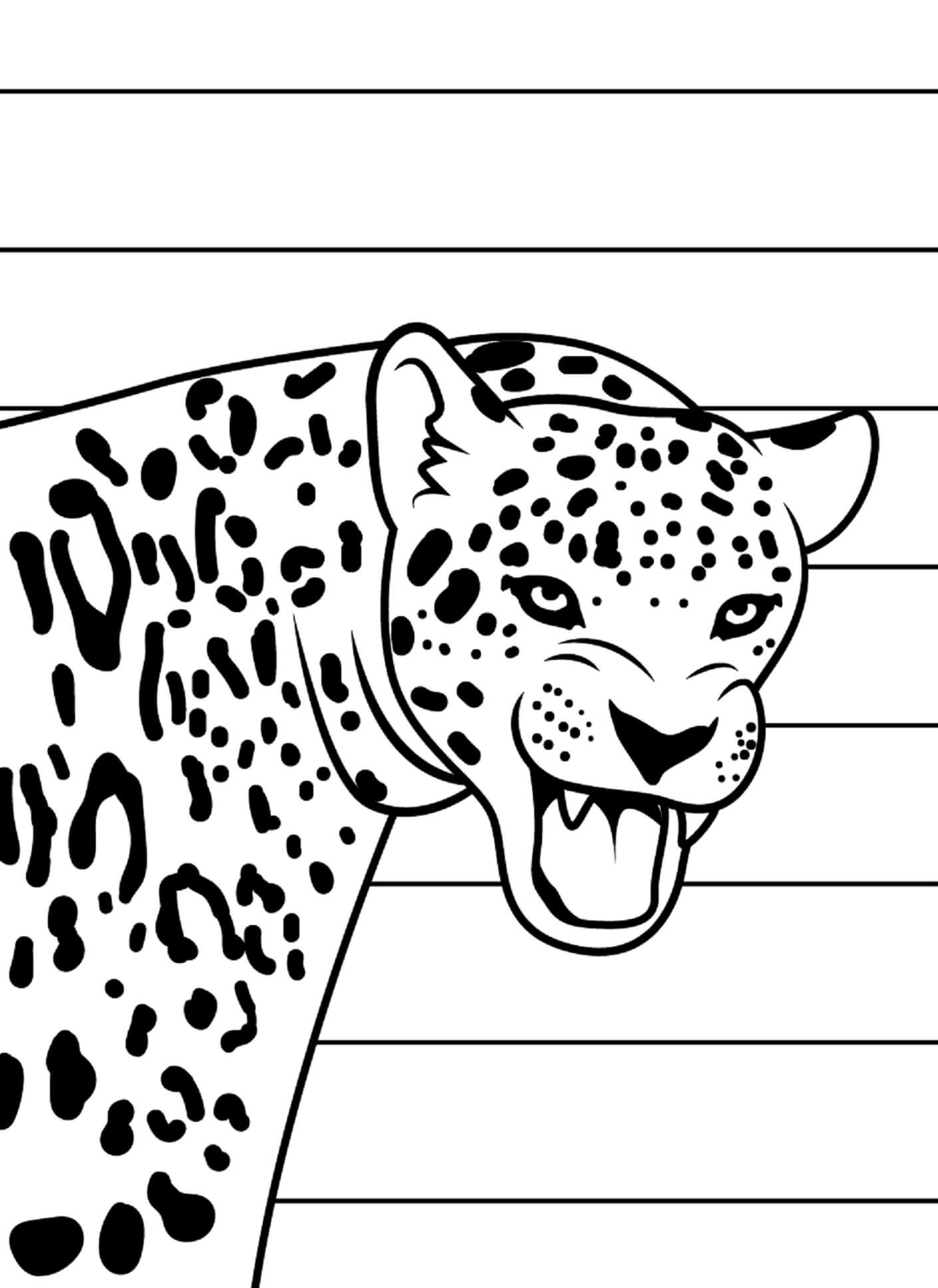 Retrato De Jaguar para colorir