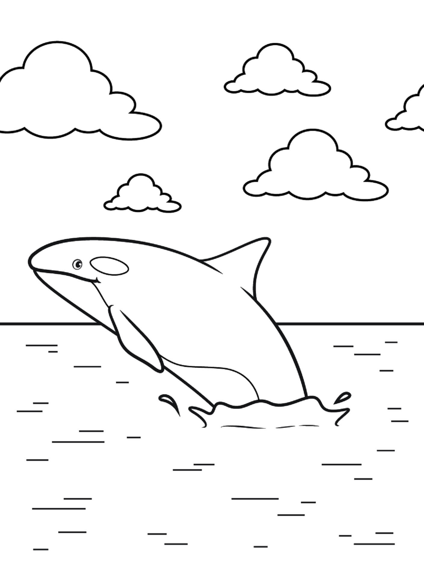 Free Whale para colorir