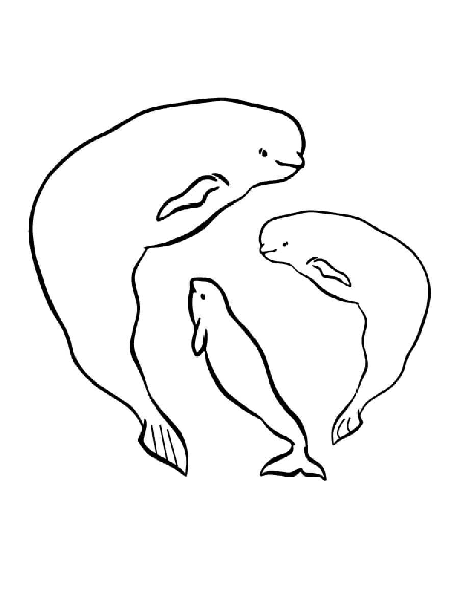 Baleia Beluga E Dois Animais para colorir