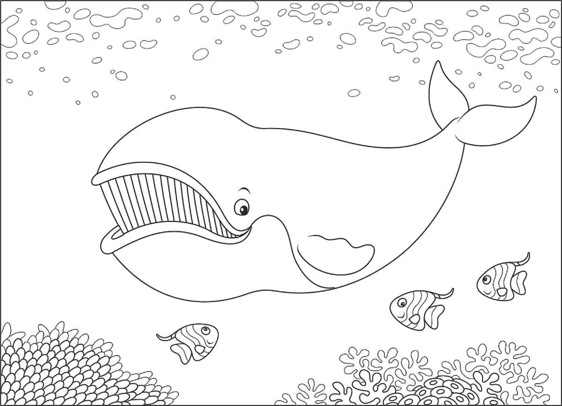 Beluga e Três Peixes para colorir
