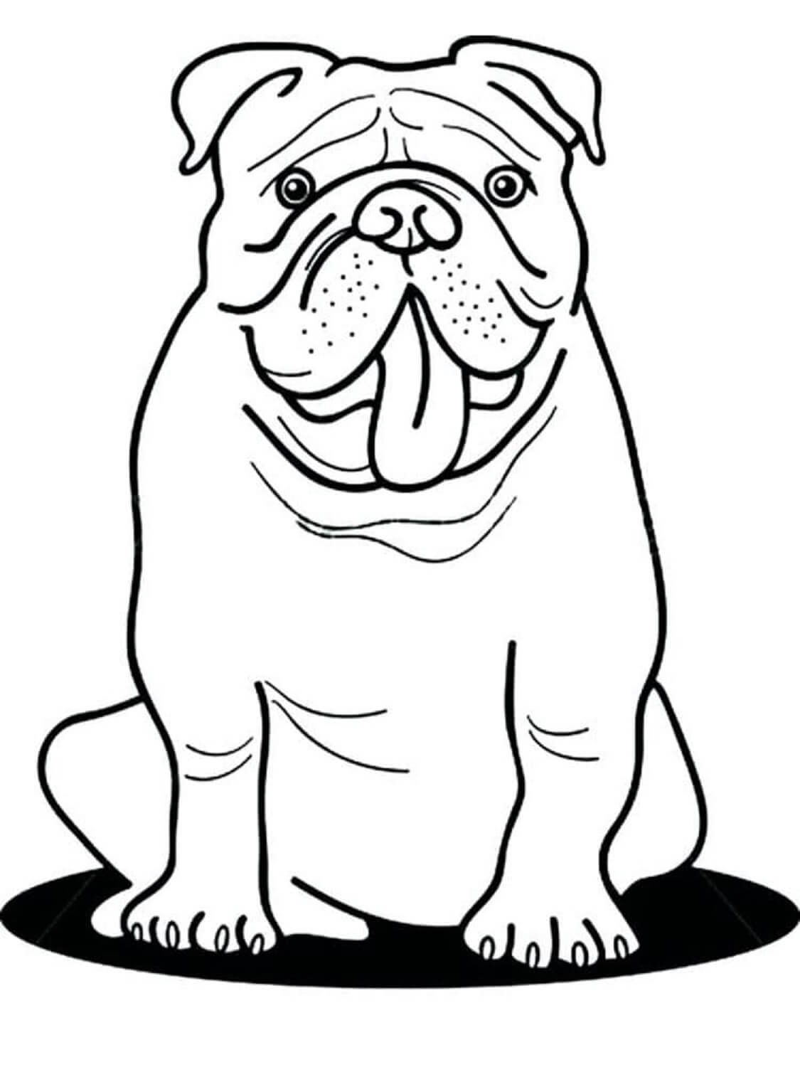 Bulldog Sentado para colorir