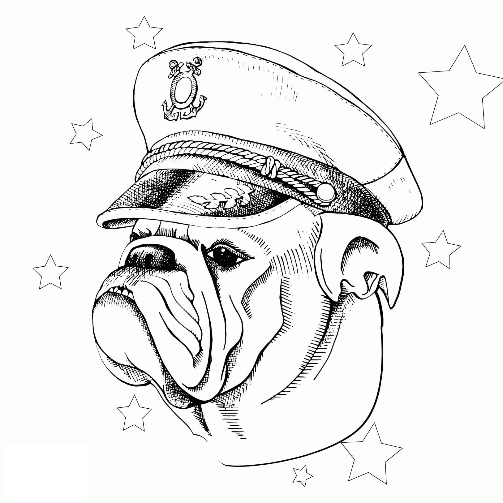 Desenhos de Cabeça De Bulldog Com Estrelas para colorir