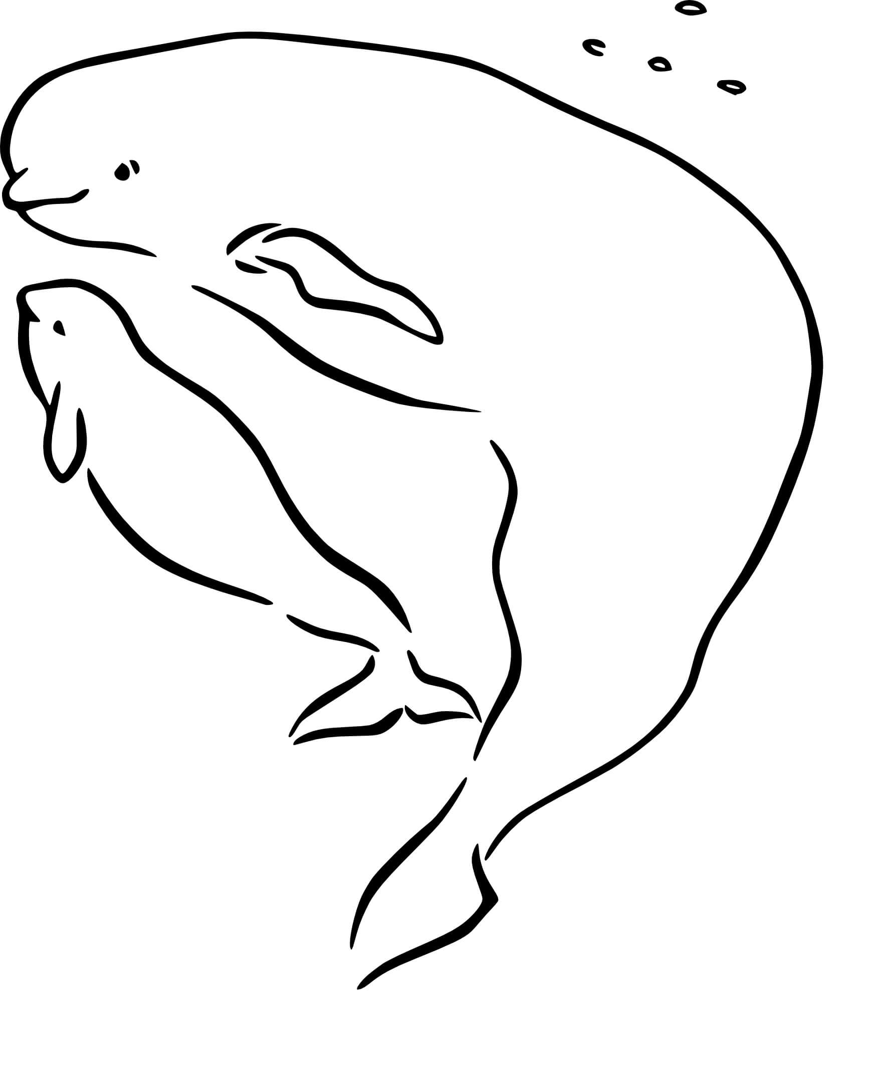 Desenho Mãe e Bebê Beluga para colorir
