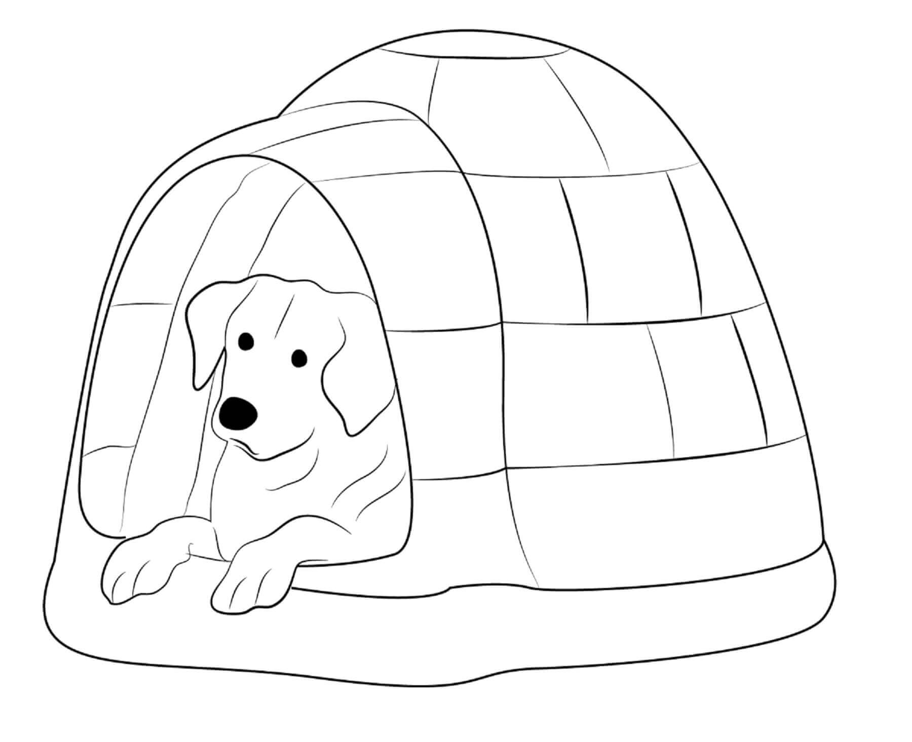 Desenhos de Cachorro Em Iglu para colorir