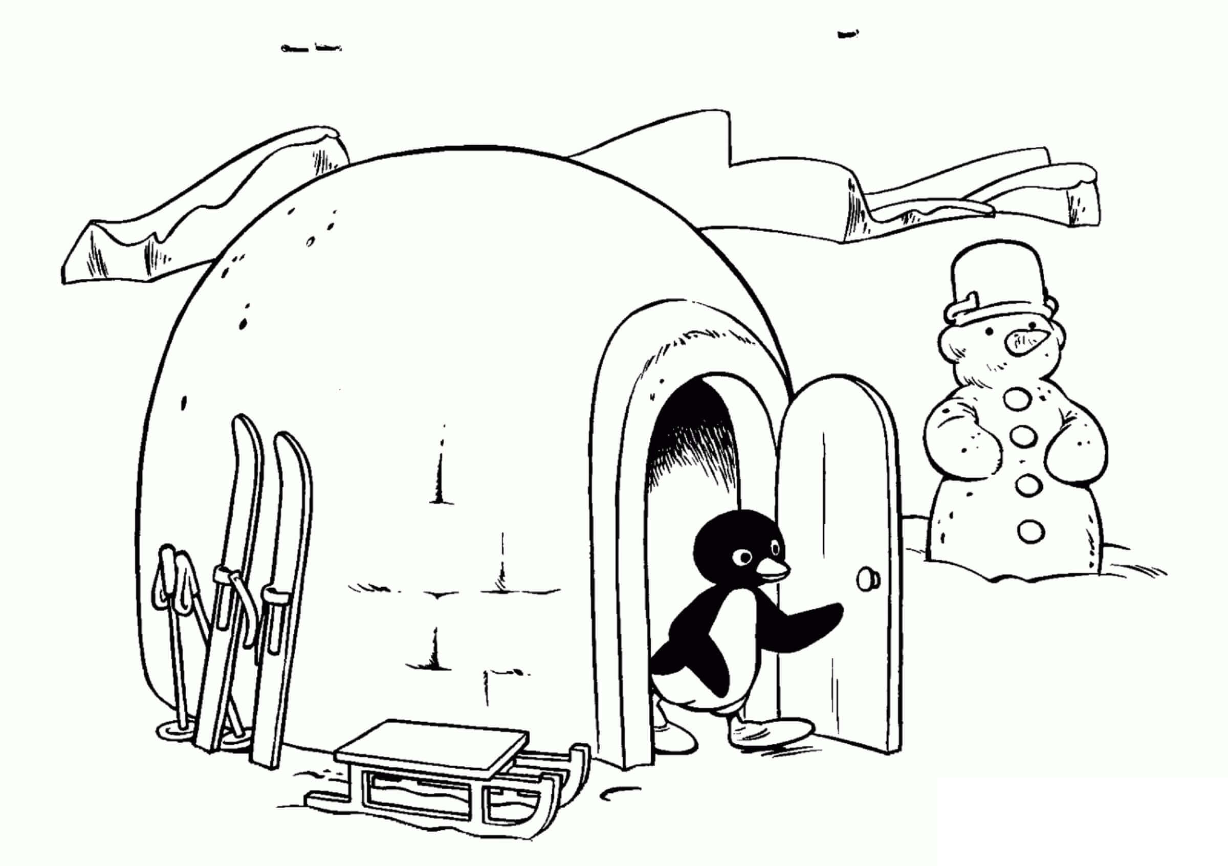 Desenhos de Pinguim Com Iglu E Boneco De Neve para colorir