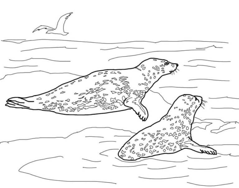 Dois Leopardos E Gaivotas Do Mar para colorir