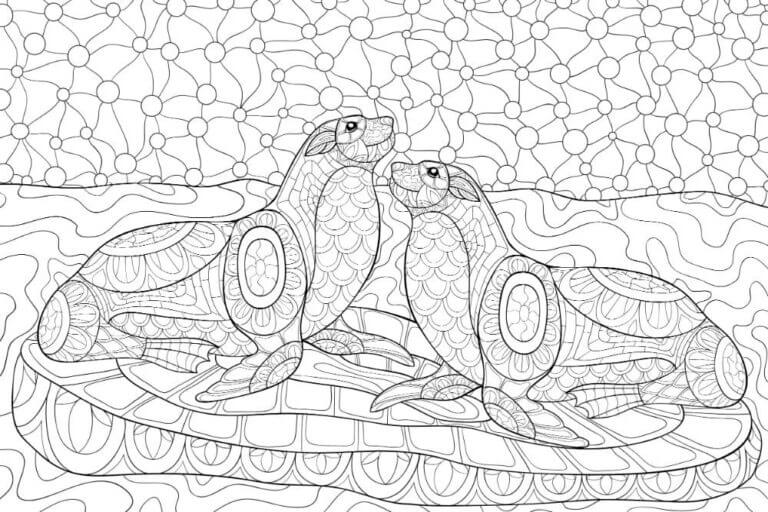 Desenhos de Mandala Caom Dois Foca para colorir