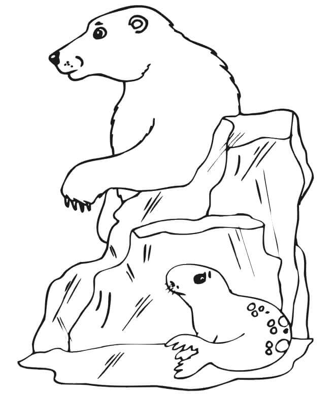 Desenhos de O Bebê Foca Está Se Escondendo Do Urso para colorir