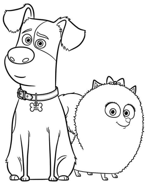 Desenhos de Max e Gidget para colorir