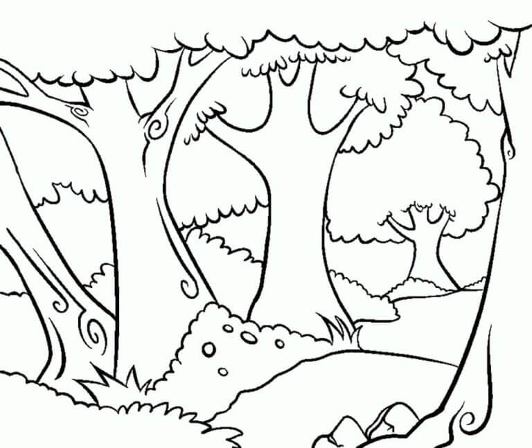 Desenhos de Bosque da Floresta para colorir