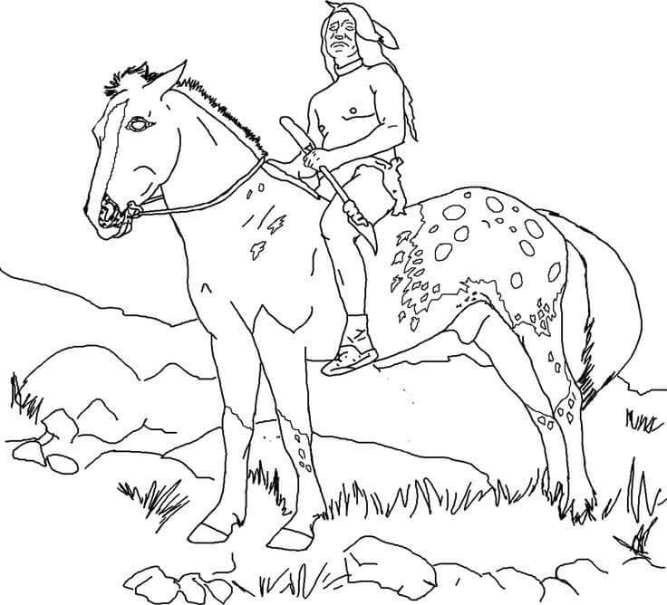 Cavalo De Equitação Nativo para colorir