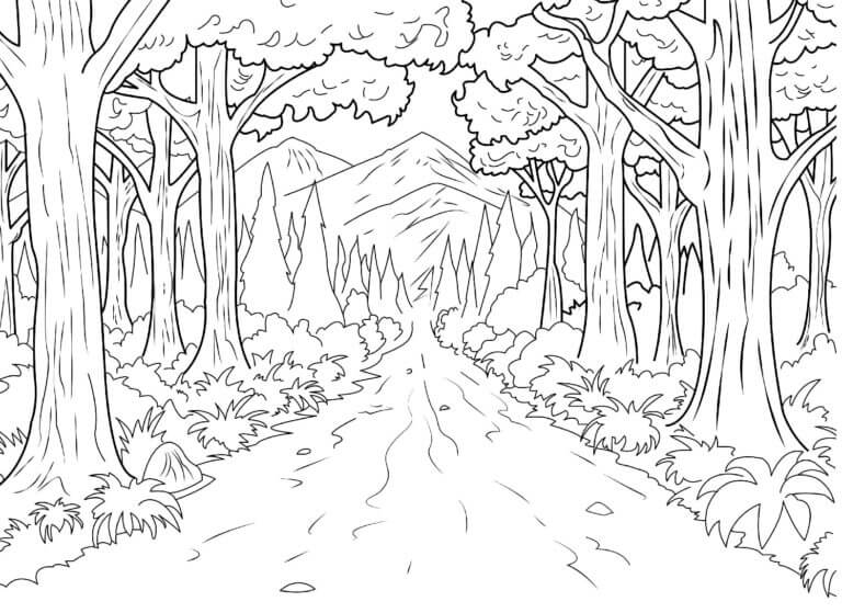 Estrada Através Da Floresta para colorir