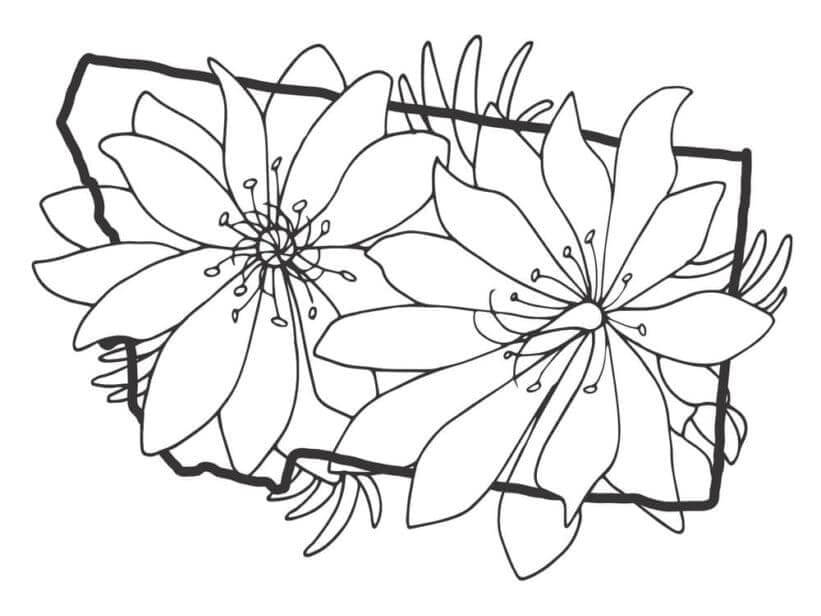 Desenhos de Flores Estéticas para colorir