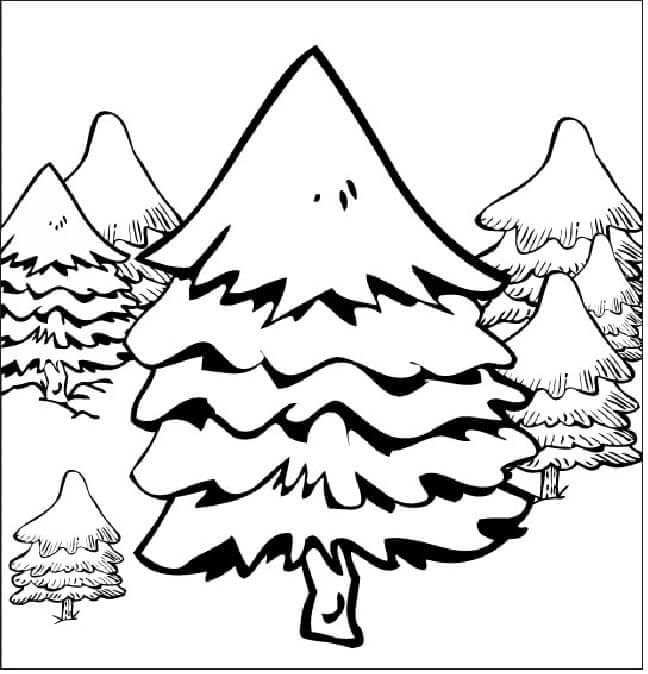 Desenhos de Floresta De Abetos Coberta De Neve para colorir