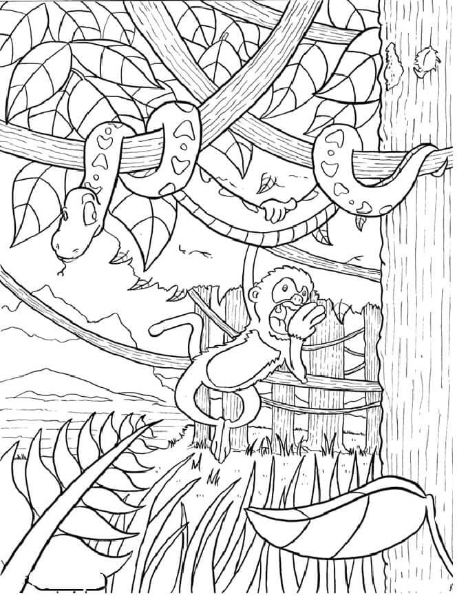 Desenhos de Macaco e Serpente na Floresta Tropical para colorir