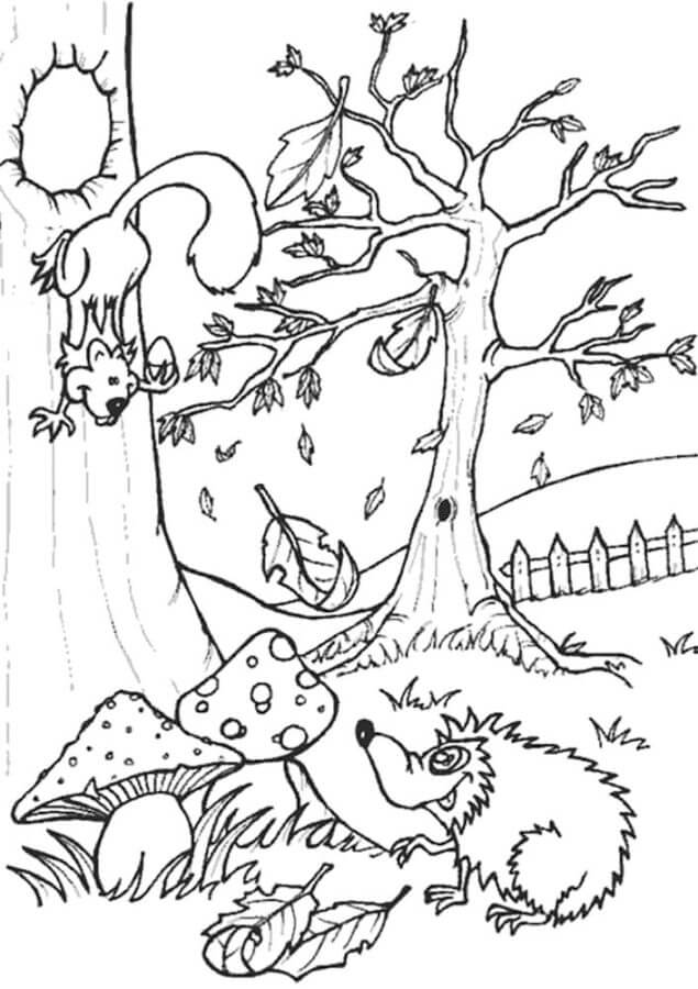 Desenhos de Ouriço e Esquilo Na Floresta para colorir