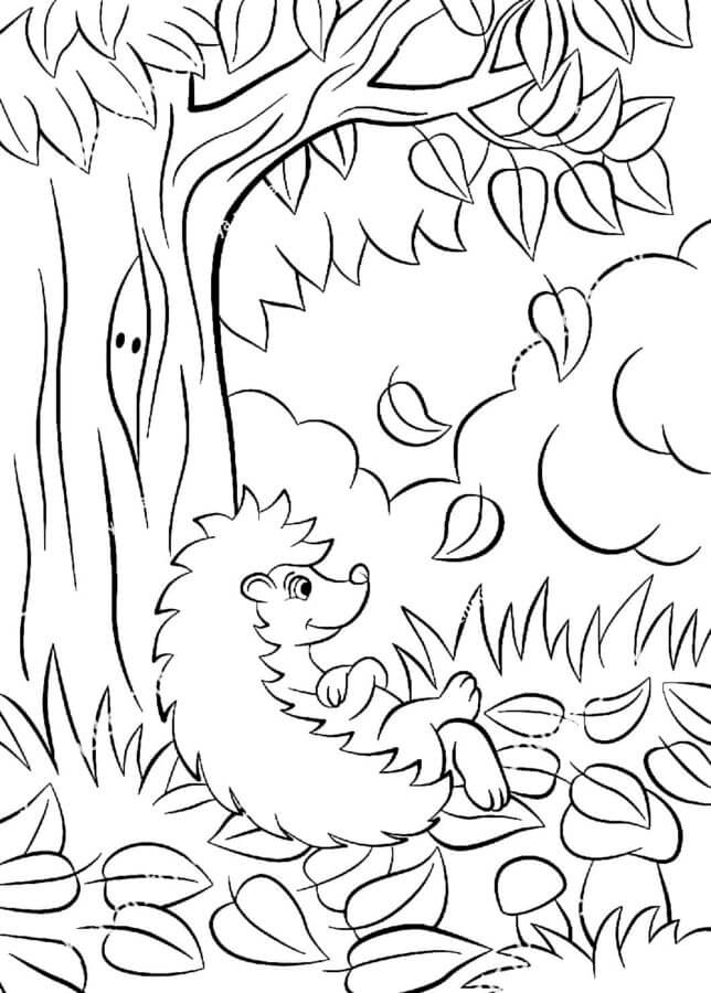 Ouriço Sob A Árvore Da Floresta para colorir