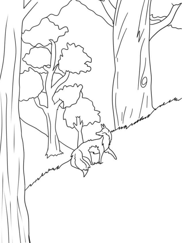 Desenhos de Raposa Andando Na Floresta para colorir
