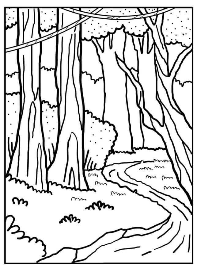 Desenhos de Rio Pequeno Na Floresta para colorir