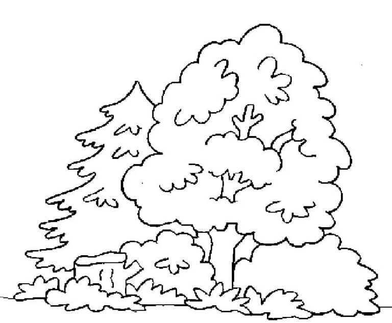 Desenhos de Toco De Árvore Na Floresta para colorir