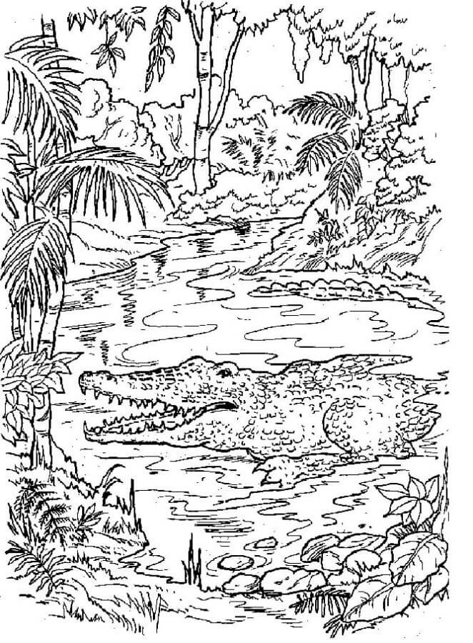 Toothy Crocodilo Na Floresta Tropical para colorir