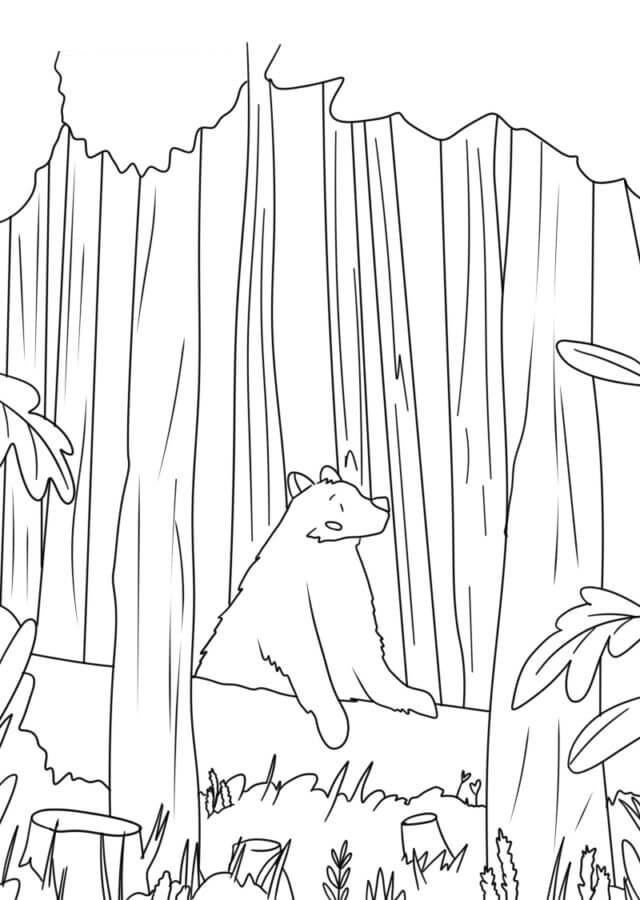 Urso Na Floresta para colorir