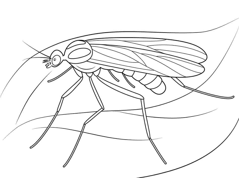 Desenhos de Mosquito 9 para colorir