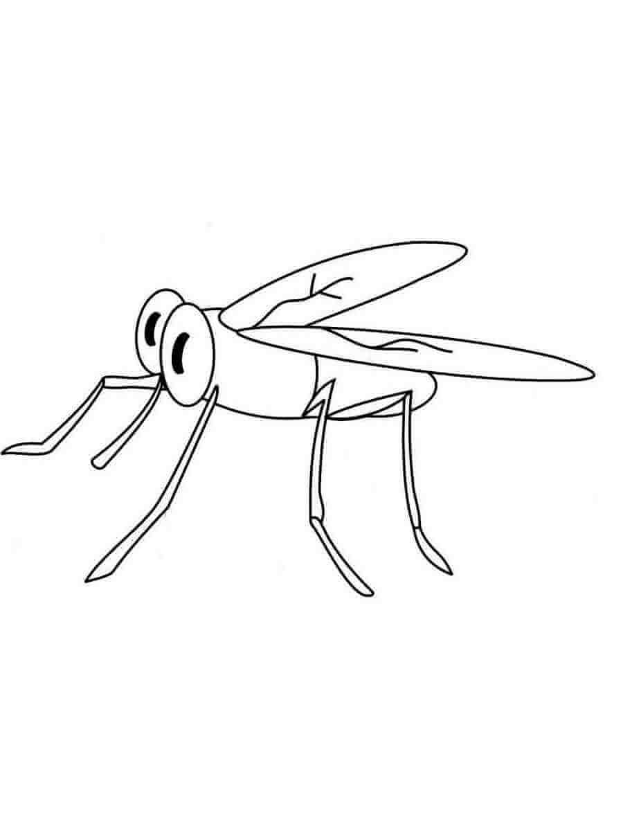 Adorável Mosquito para colorir