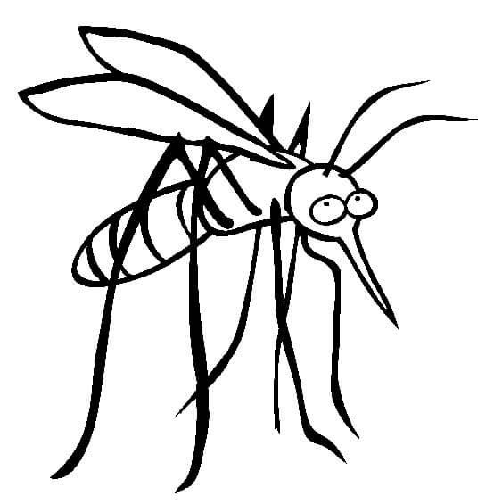 Desenhando Mosquito para colorir