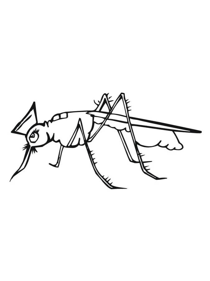 Desenho Livre De Mosquito para colorir